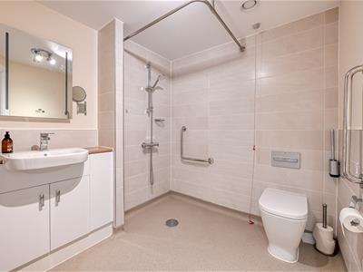 Picture 8